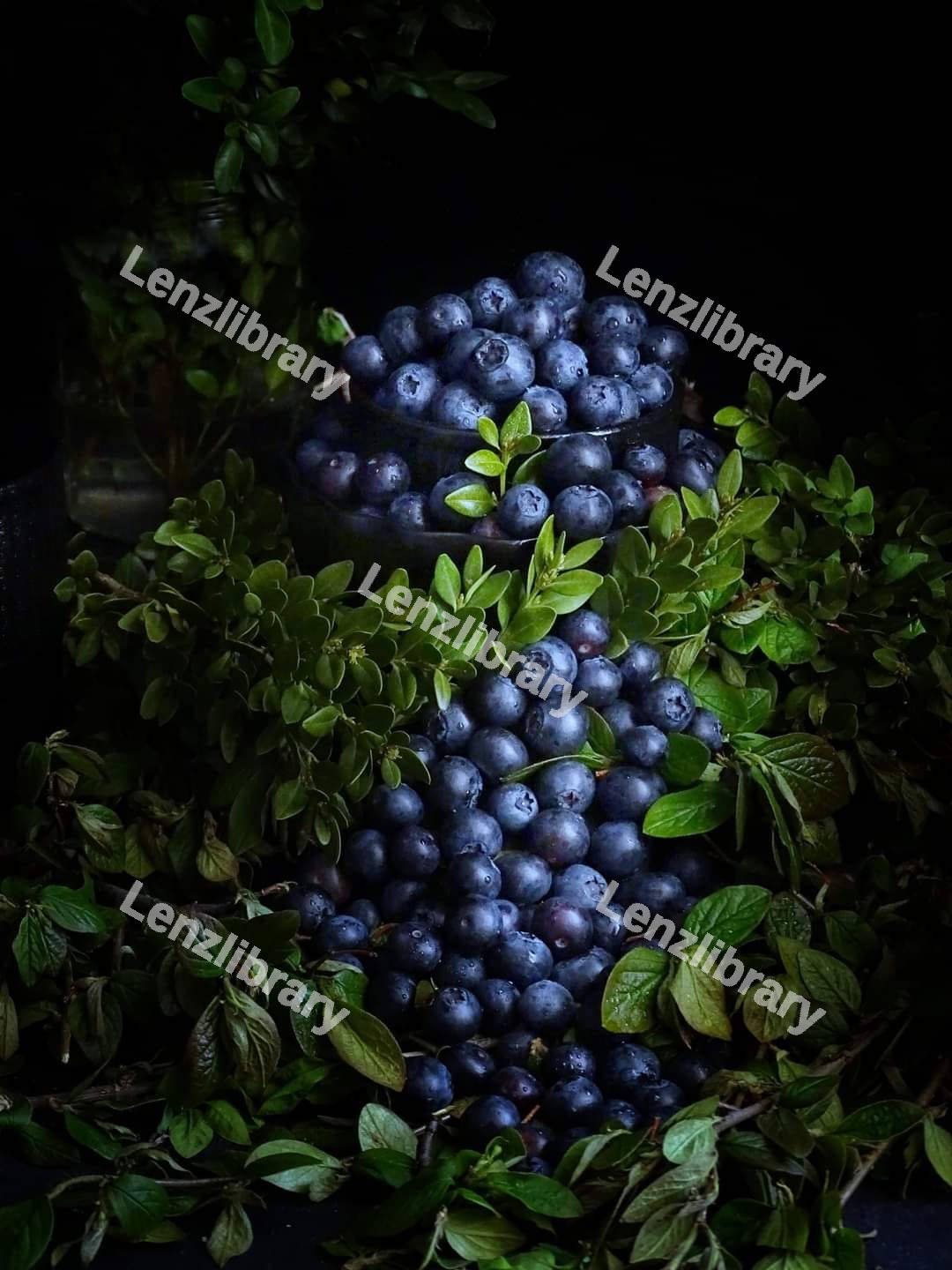 A bunch of blueberries